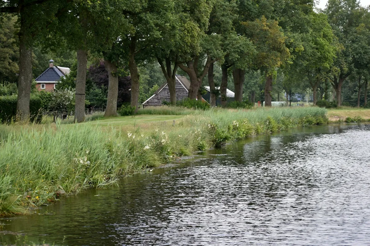 Boerderij achter de dijk tussen volwassen eiken in het rivierenland